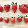 この冬お取り寄せしてでも食べてみたい！2018最旬いちごコレクション
