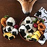 【胸キュン】ワンワンワン！犬とごはんがあれば毎日が幸せ。