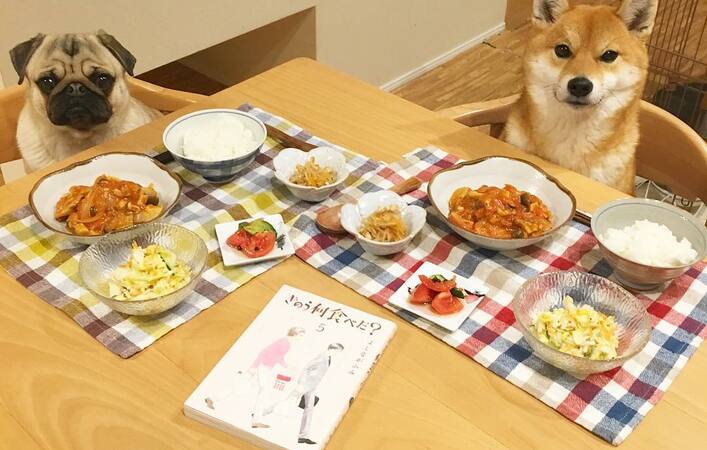 【きのう何食べた？】安くておいしい！シロさんの手料理をおうちで再現！