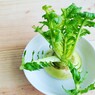 手軽にできて食費の節約や癒やしにも！再生野菜「リボベジ」のすすめ