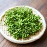 【旬を味わう】一年中楽しみたい！初夏のとっておき「実山椒」のおいしい楽しみ方