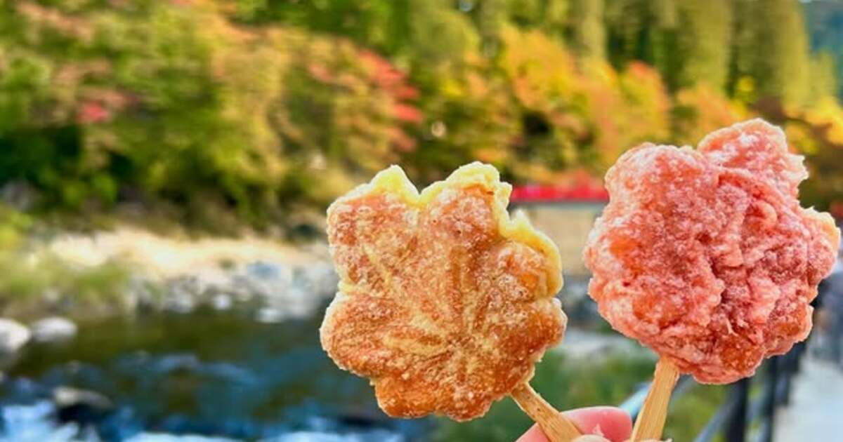 とくしま紅葉めぐり | 徳島県観光情報サイト阿波ナビ 紅葉様 リクエスト 10