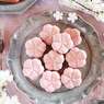 今年のお花見におすすめ！桜の手作りスイーツ＆東京のお花見スポット