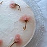 桜が散っても楽しめる！桜の塩漬けで作る桜レシピ5選～スイーツ編～
