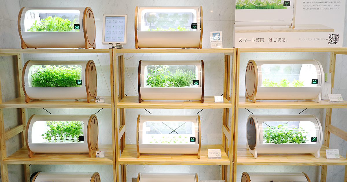 室内でおしゃれに野菜を育てる スマート菜園 Foop に注目 おうちごはん
