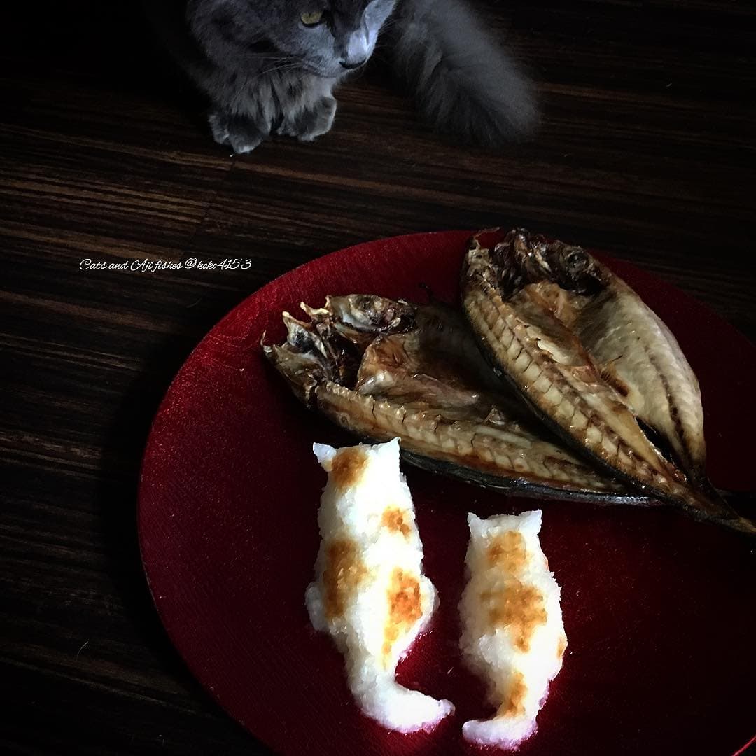 https://www.instagram.com/p/BYubKtZAP0x/