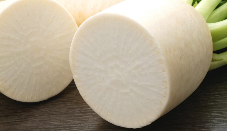 https://sakaidafruits.com/kagayasai/yasai/daikon/