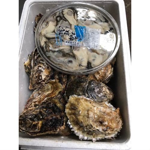 https://shop.yoshimaru-oysters.com/items/15169247