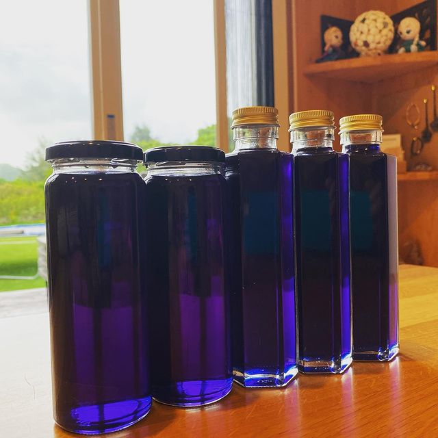 https://www.instagram.com/p/CQI3BB4jCuV/