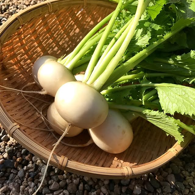 https://www.instagram.com/p/BObUChOBZn-/
