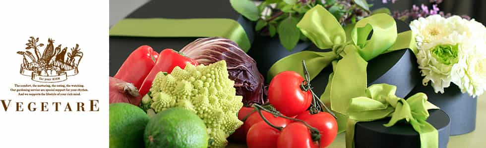 http://www.vegetareshop.jp/