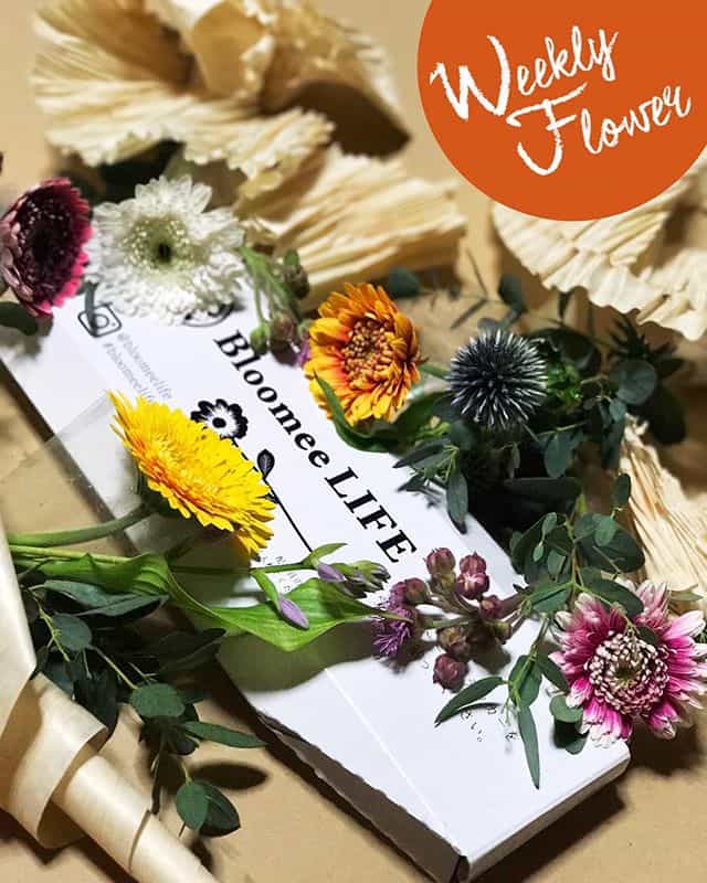 ワンコインで毎週届く Bloomee Life で花のある暮らし おうちごはん