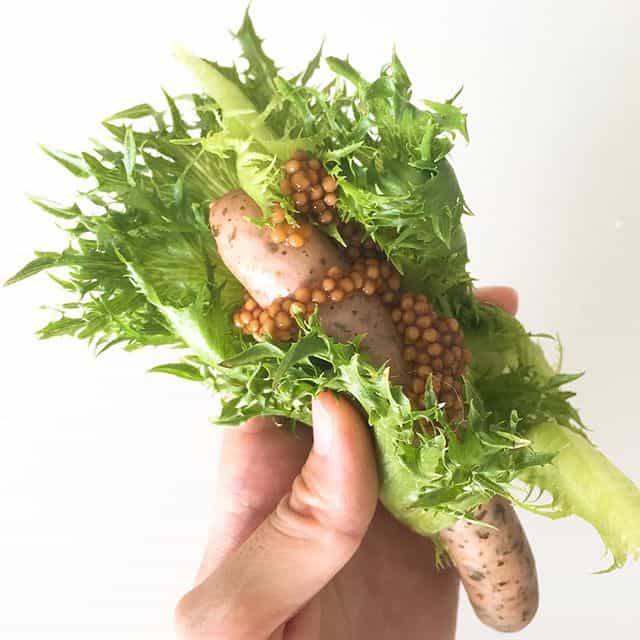 https://www.instagram.com/p/BJlytj-jQLq/