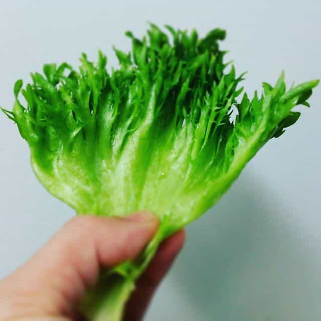 https://www.instagram.com/p/BArUCvKObyS/