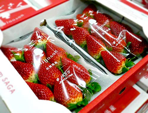 佐賀県産いちご いちごさん3Lサイズ2パック