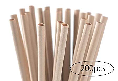 Nature Essences BambooFiberStraw 竹繊維ストロー 210mm×6mm 200本入り