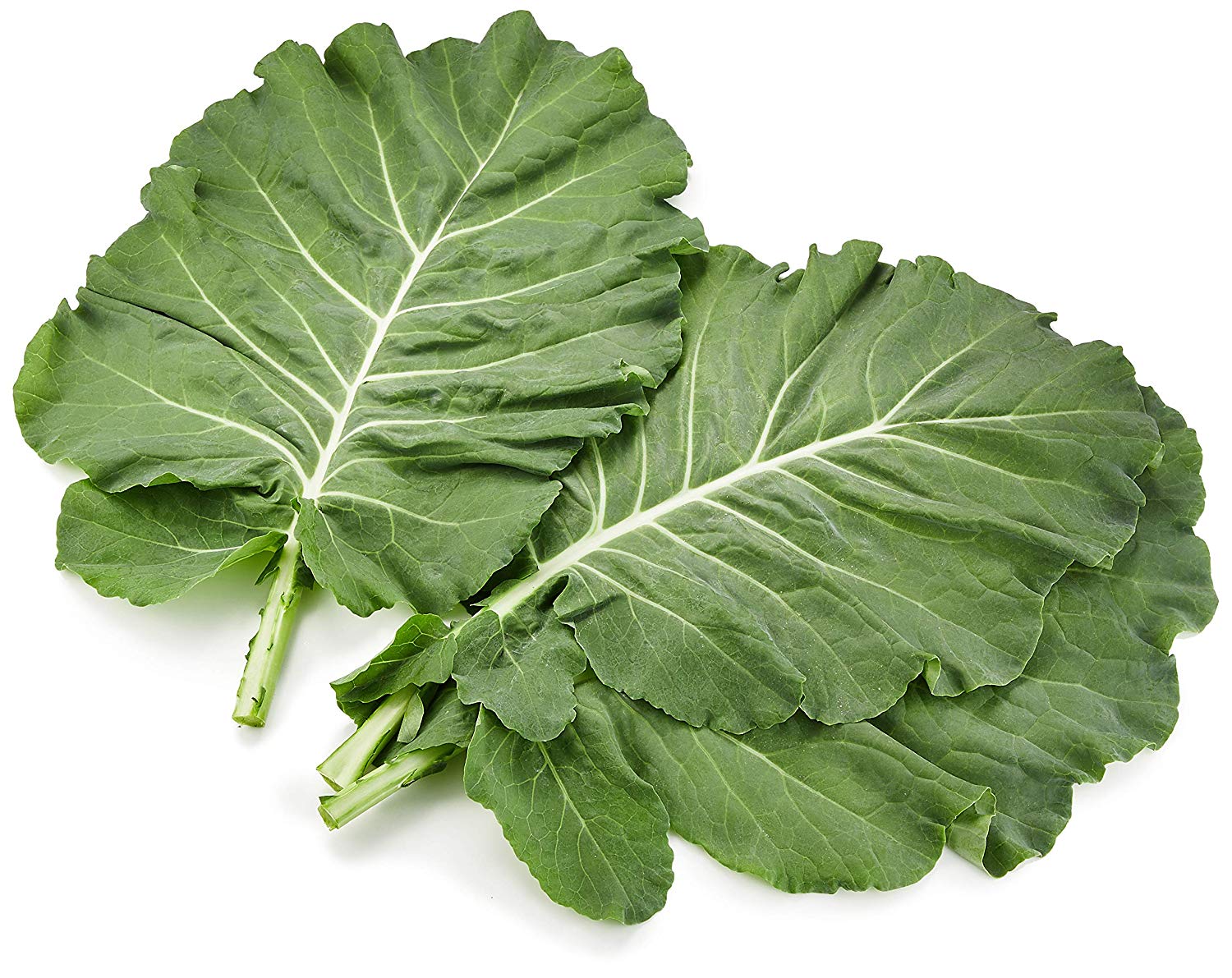 国内産 ケール 1パック 200g