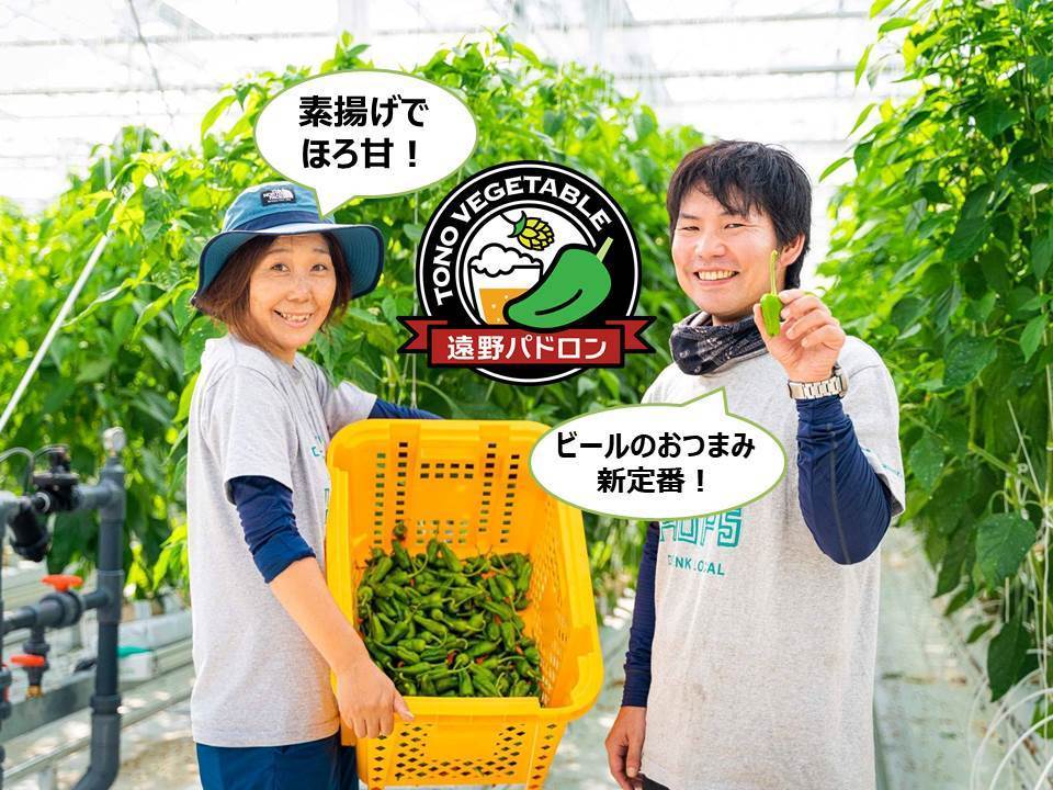 ビールのおつまみ野菜「遠野パドロン」【500g】