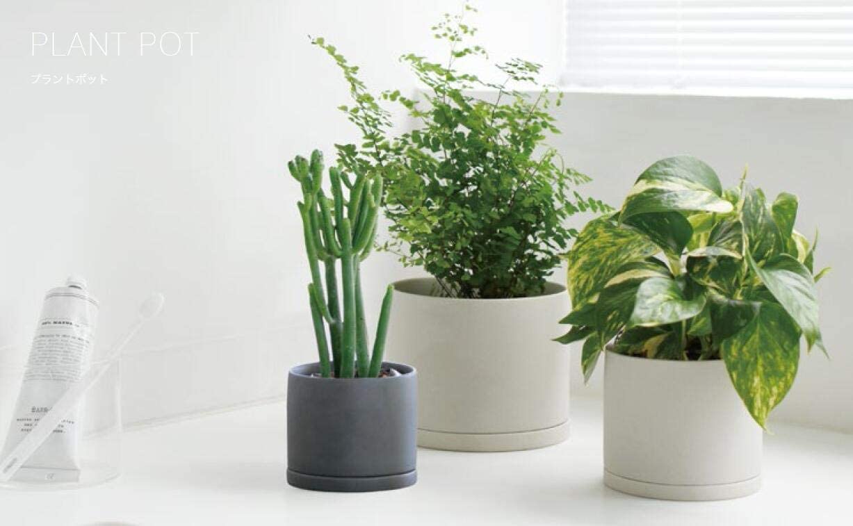 KINTO (キントー) 植物用プラントポット191 アースグレー 105mm 29213