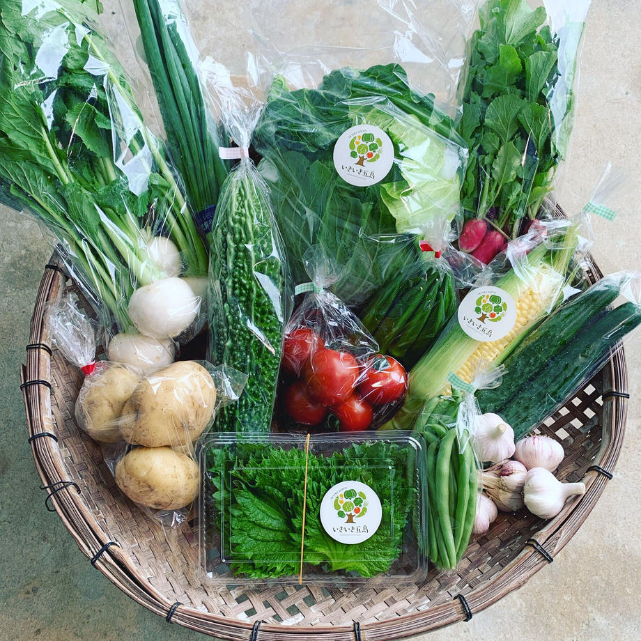 いきいき五島のお野菜便M（送料税込）