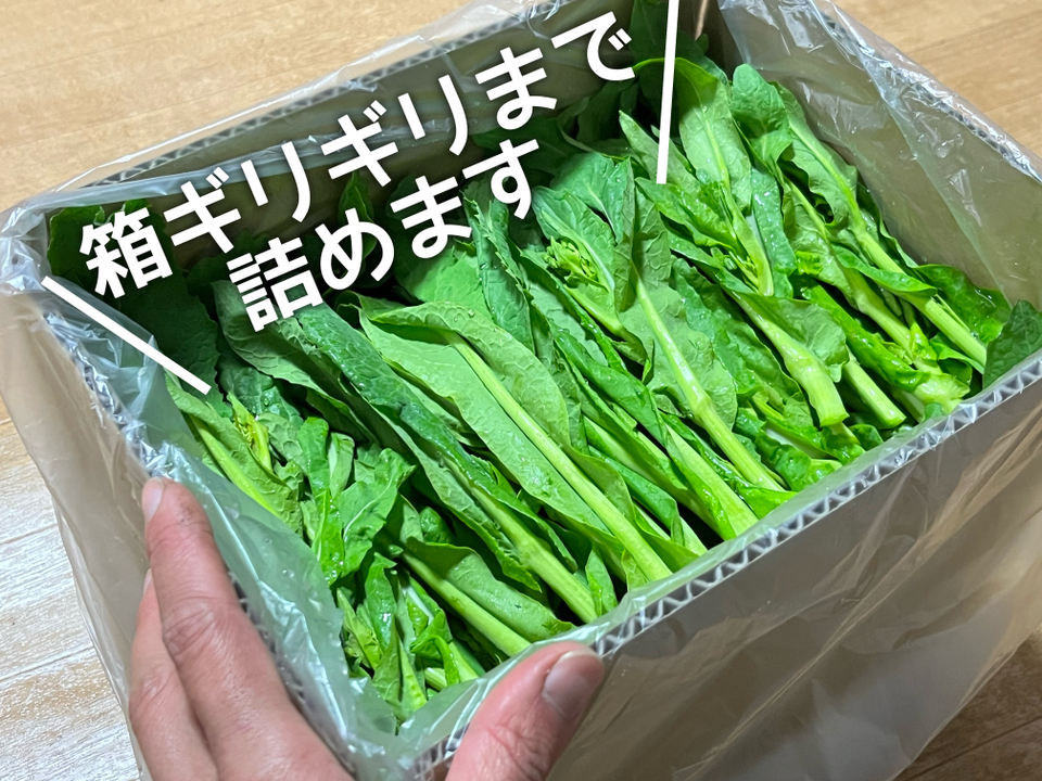 嫌ほど菜花食べたい人へ [信州産] 野沢菜の菜花を箱いっぱい！