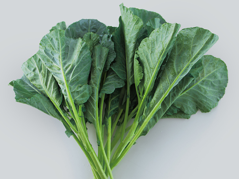 【おまけ付】「特別栽培」やわらかくて食べやすい苦みの少ないケール【機能性表示食品】ソフトケールGABA（500g）