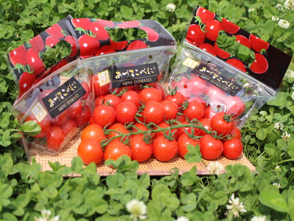 【三重県産】高品質！ミニトマトあづまこべに®（150gｘ12袋）