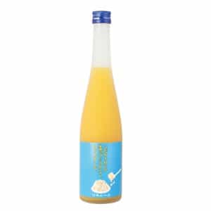 こだわりぬいた宮崎のプレミアムマンゴー、はじめました。 500ml【福岡県 篠崎】