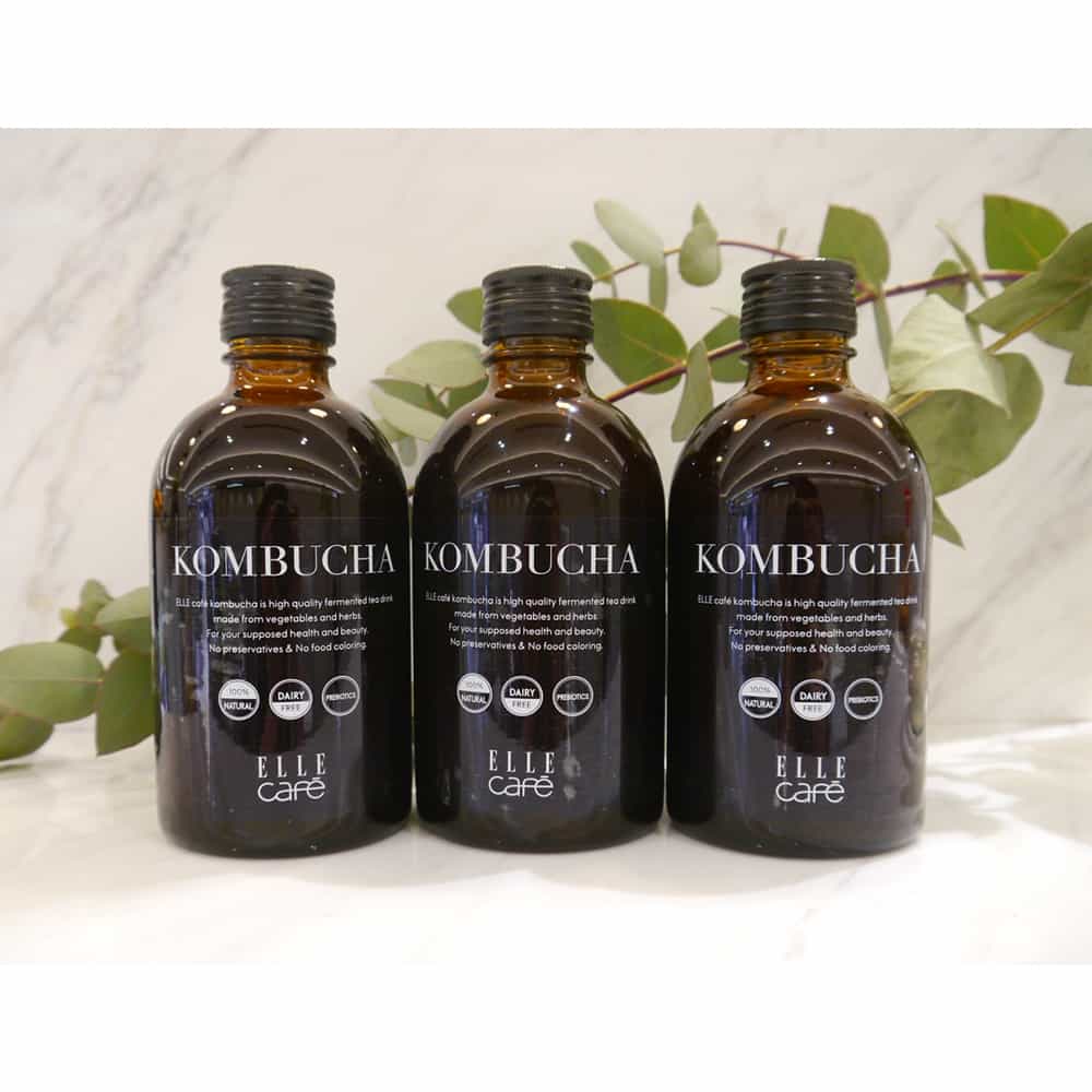 【先行受注】コンブチャエキス