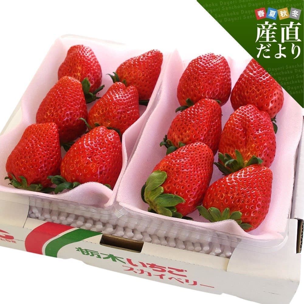 栃木JAおやま スカイベリー 600g(300g×2P)