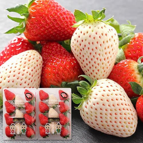 奈良県産 古都華&パールホワイト 紅白 2色の苺セット 約230g 2パック詰め