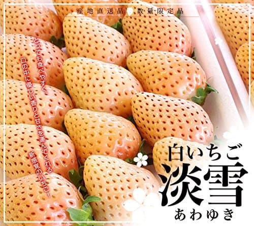 熊本県 淡雪 Lから2L 約270g×2P(11~15粒×2パック入り)